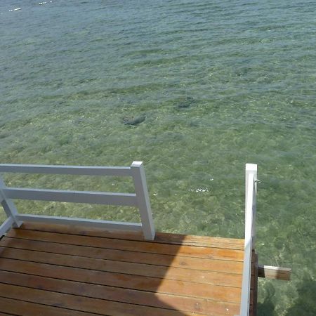 Bluefins Resort Lapu-Lapu City Eksteriør bilde